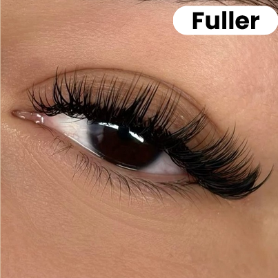 Aurea Magnetische Wimpern
